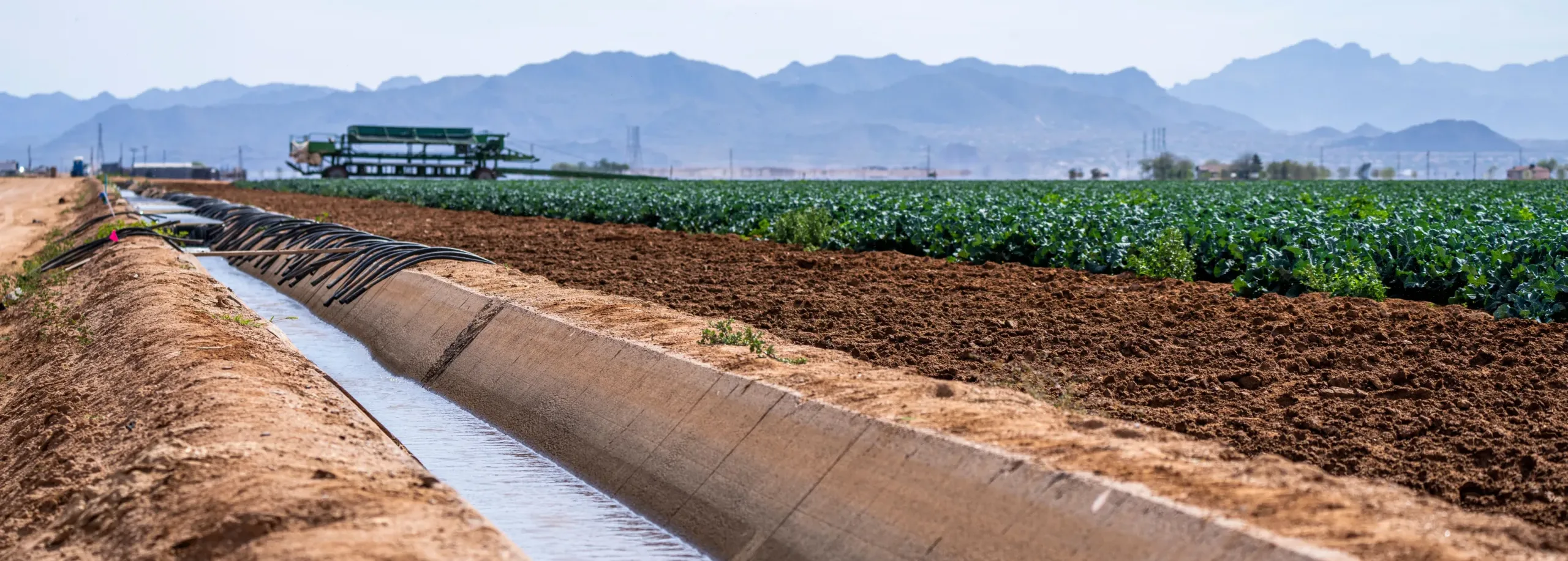Agriculture